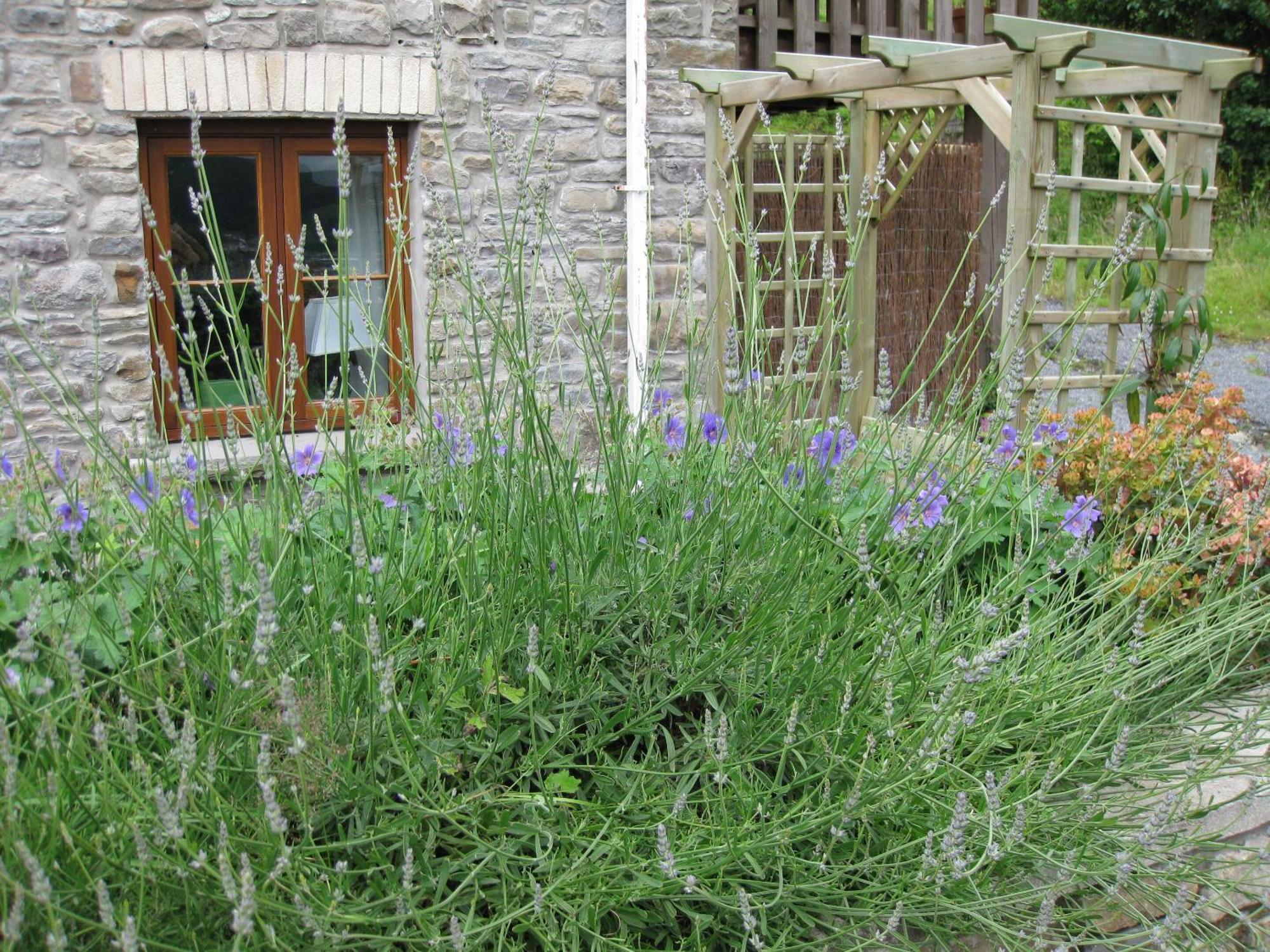 Tunnel Cottages At Blaen-Nant-Y-Groes Farm Aberdare Habitación foto